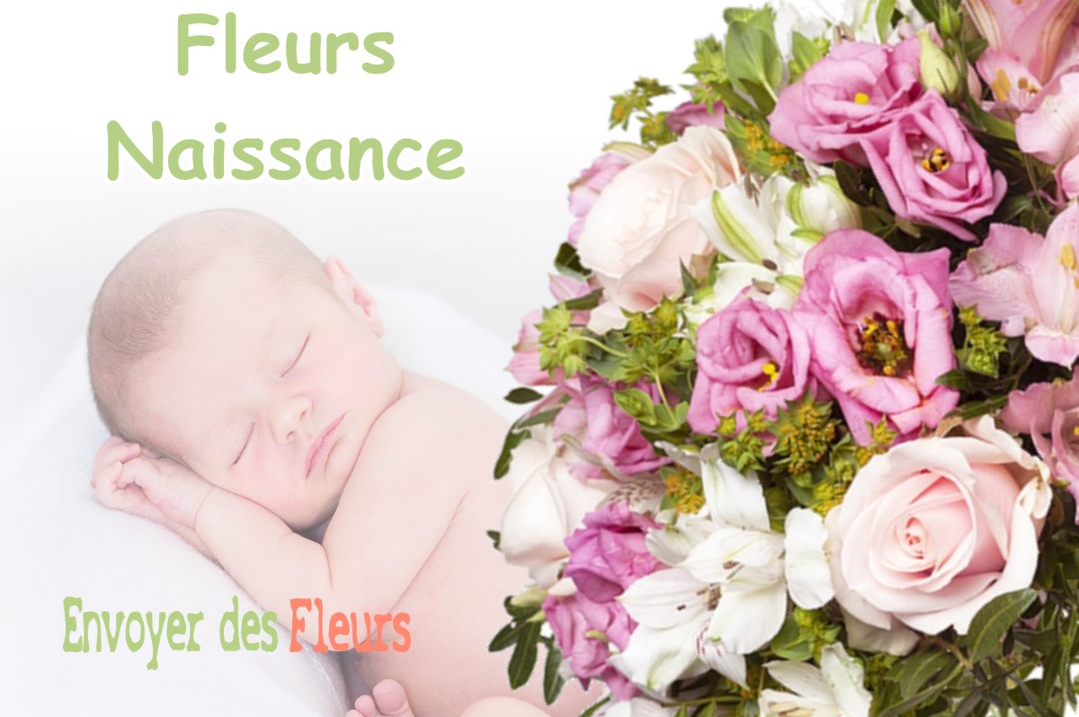 lIVRAISON FLEURS NAISSANCE à PALADRU